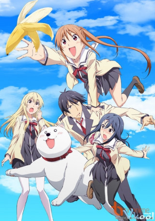 Cô Nàng Ngốc Nghếch - Aho-girl: Clueless Girl