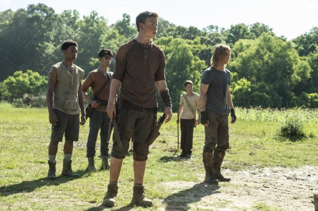 Xem Phim Giải Mã Mê Cung - The Maze Runner - Vkool.Net - Ảnh 3