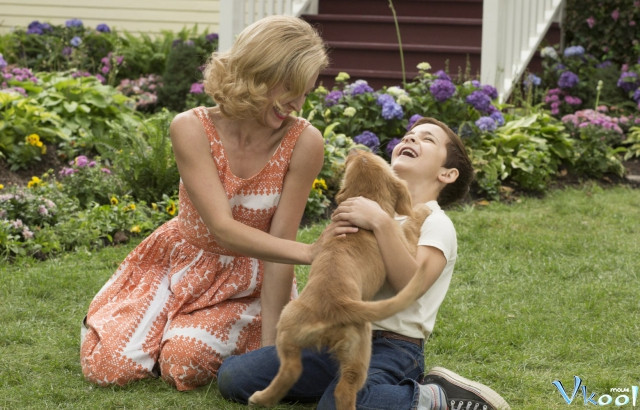 Xem Phim Mục Đích Sống Của Một Chú Chó - A Dog’s Purpose - Vkool.Net - Ảnh 3