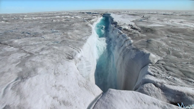 Xem Phim Hành Tinh Băng Giá - Bbc Frozen Planet - Vkool.Net - Ảnh 5